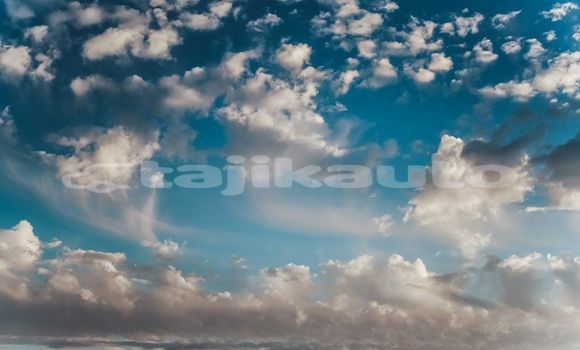 Medium with watermark image