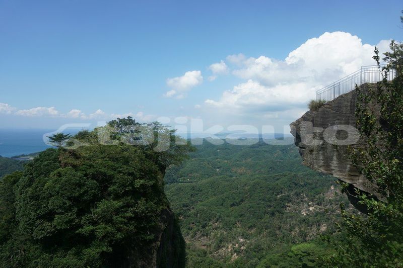 Big with watermark image