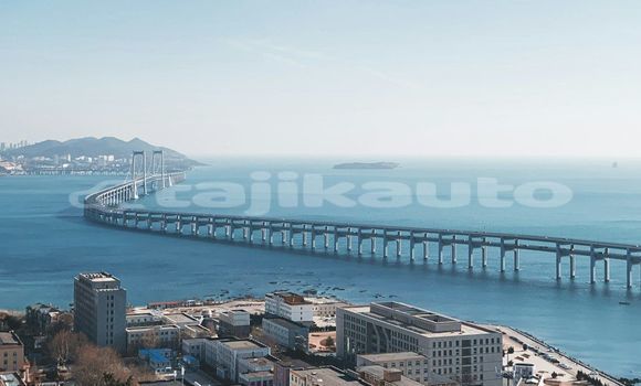 Medium with watermark image