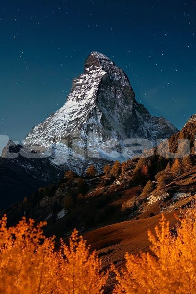 Big with watermark image