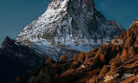 Medium with watermark image