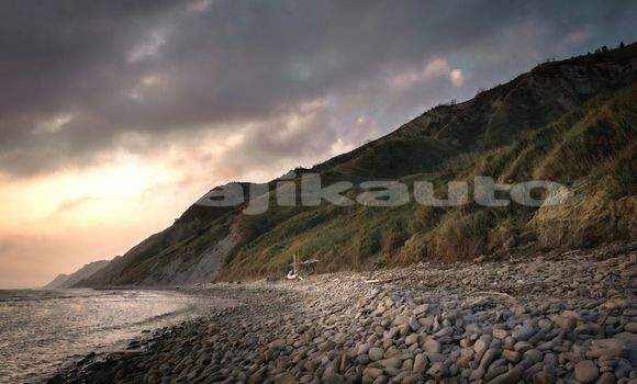 Medium with watermark image