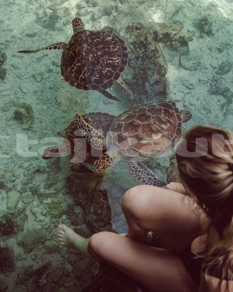 Big with watermark image