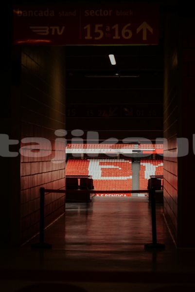 Big with watermark image