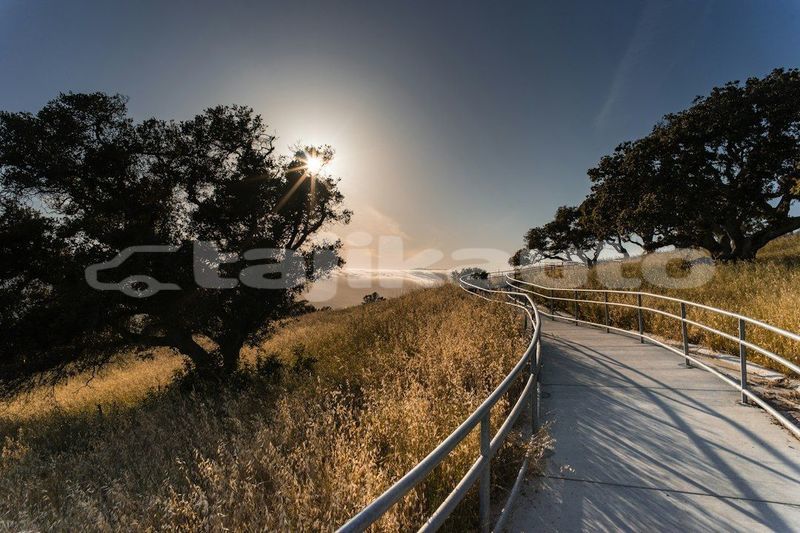 Big with watermark image