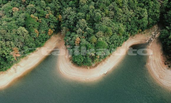 Medium with watermark image