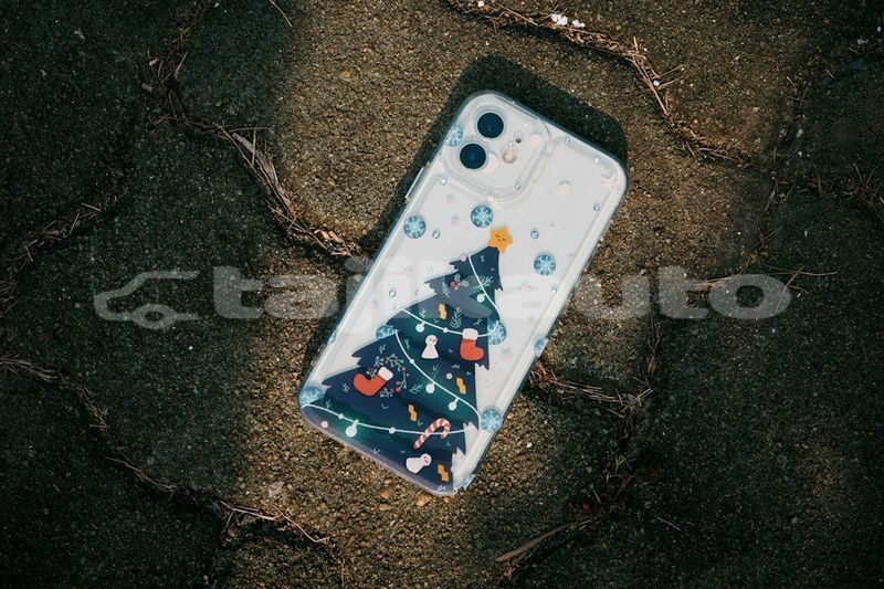 Big with watermark image