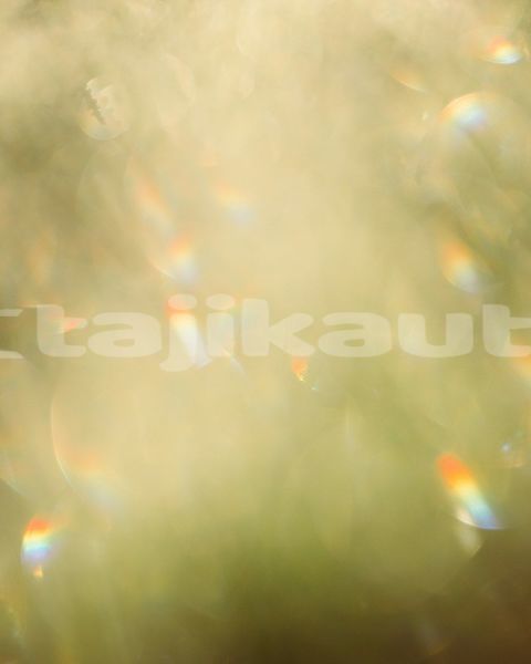 Big with watermark image