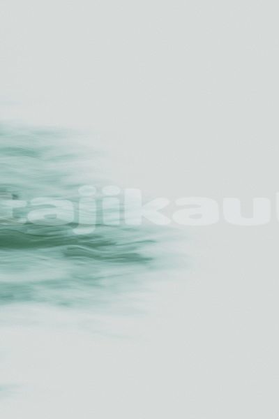 Big with watermark image