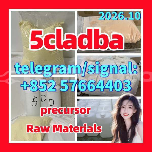 Big with watermark 51