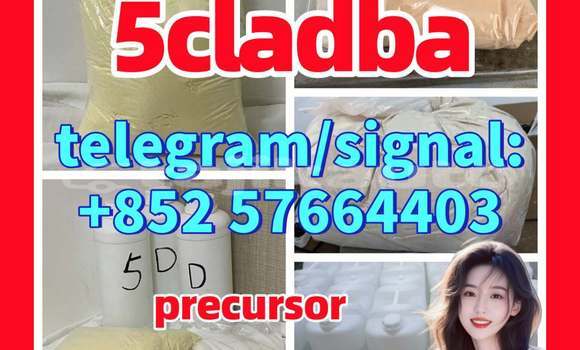 Medium with watermark 51