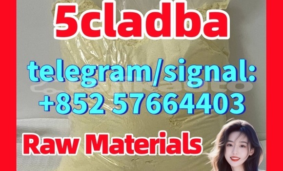 Medium with watermark 56