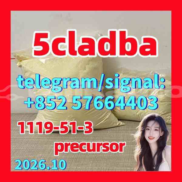 Big with watermark 511