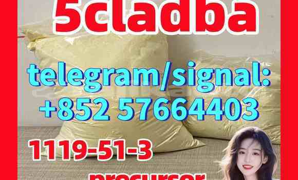 Medium with watermark 511