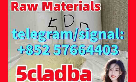 Medium with watermark 52