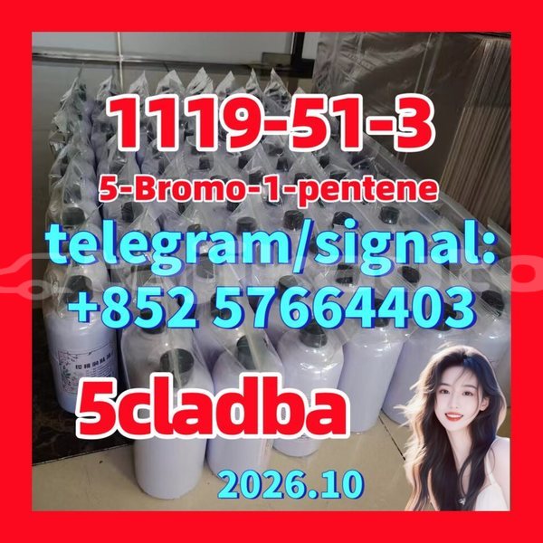 Big with watermark 512