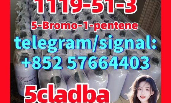 Medium with watermark 512