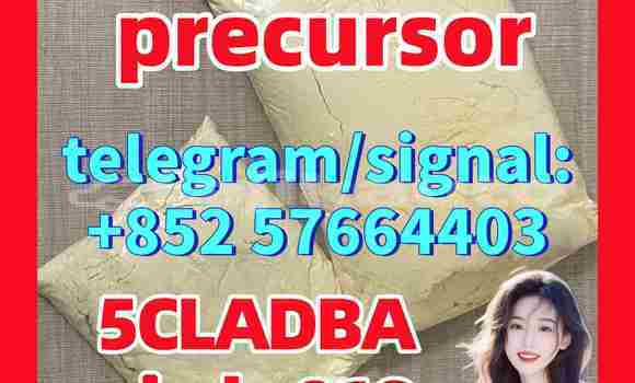 Medium with watermark 53