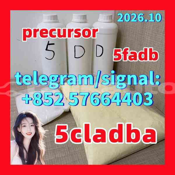 Big with watermark 55
