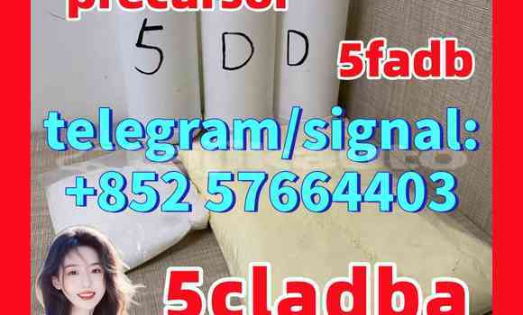 Medium with watermark 55