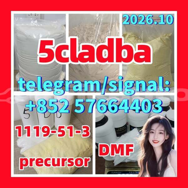 Big with watermark 515