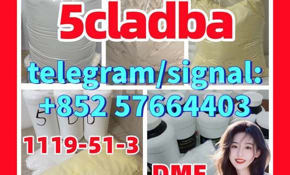 Medium with watermark 515