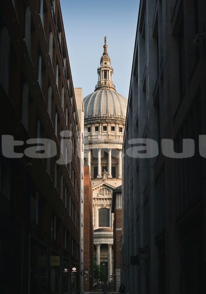 Big with watermark image