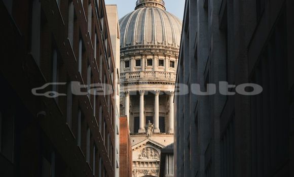Medium with watermark image