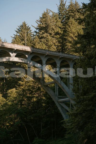 Big with watermark image