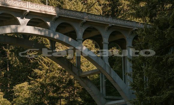 Medium with watermark image