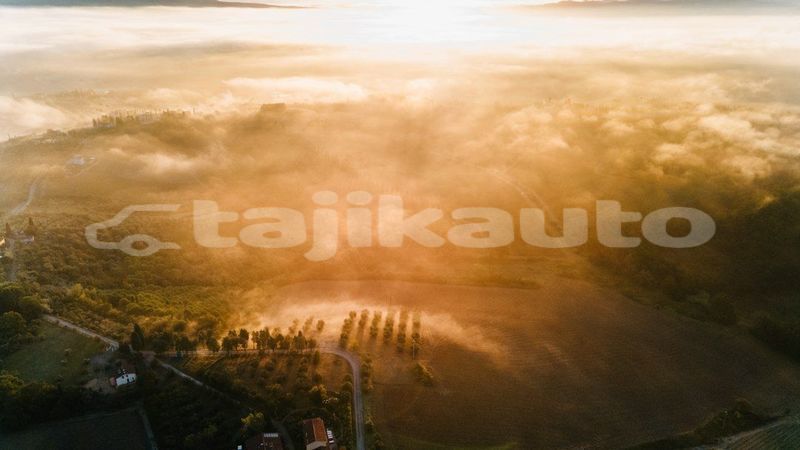 Big with watermark image