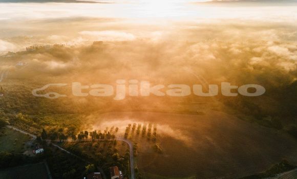 Medium with watermark image