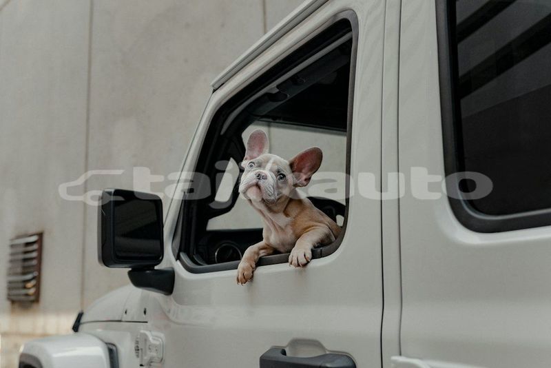 Big with watermark image