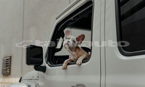 Medium with watermark image