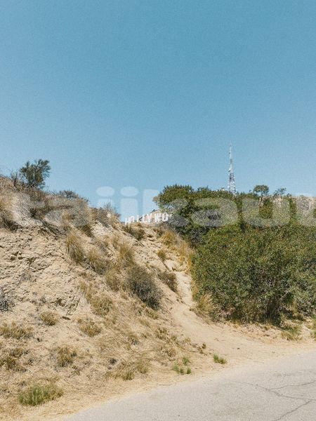 Big with watermark image
