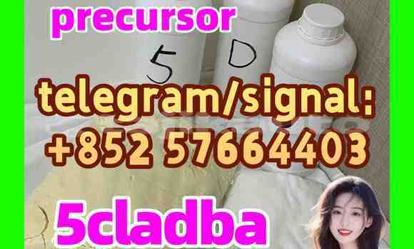 Medium with watermark 51