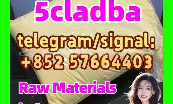 Medium with watermark 52