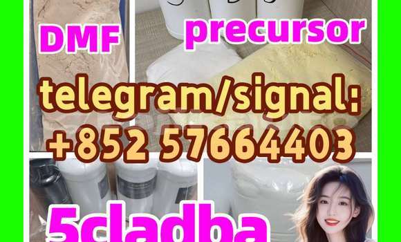 Medium with watermark 53