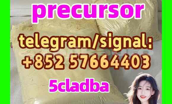 Medium with watermark 55