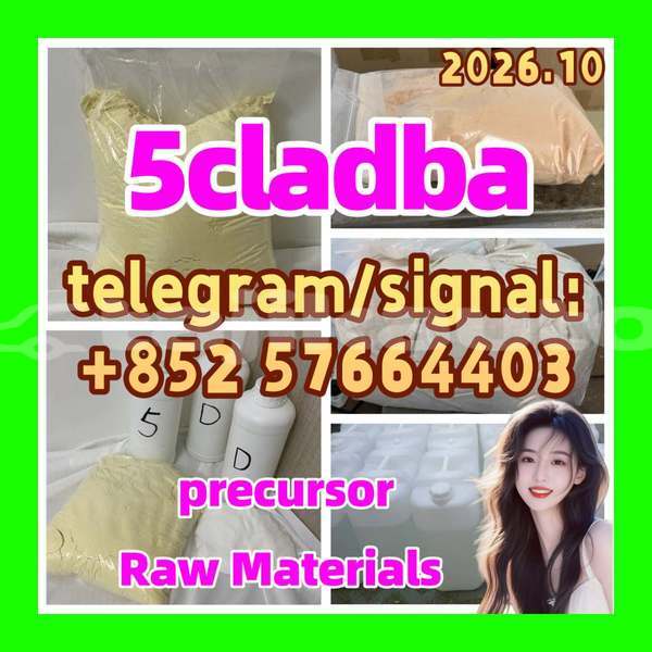 Big with watermark 56
