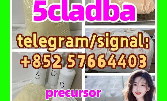 Medium with watermark 56