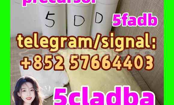 Medium with watermark 57