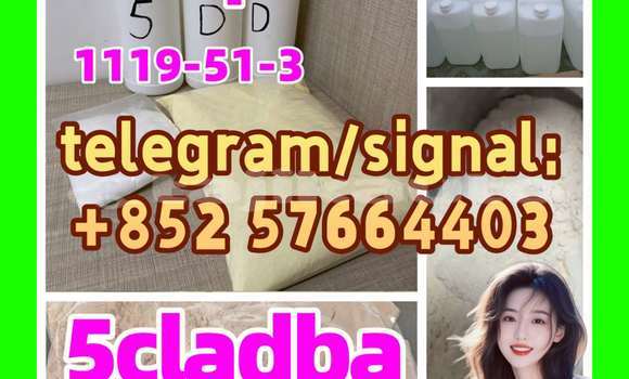 Medium with watermark 59