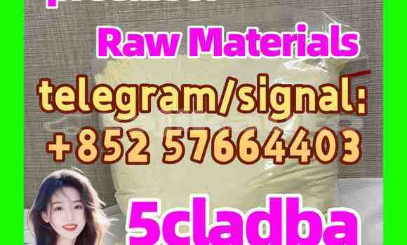 Medium with watermark 58
