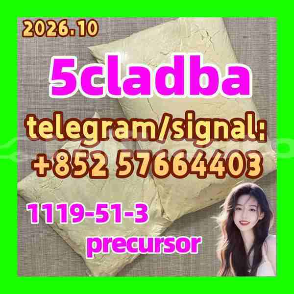 Big with watermark 511