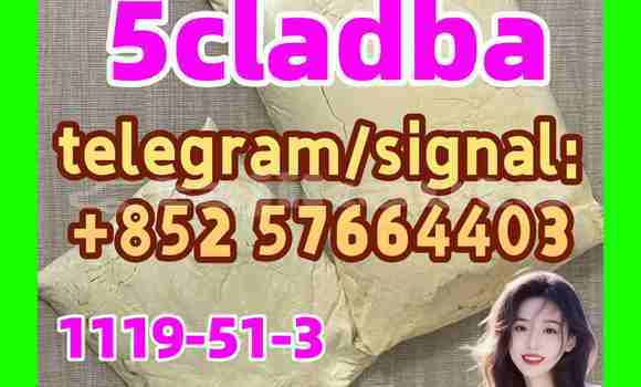 Medium with watermark 511