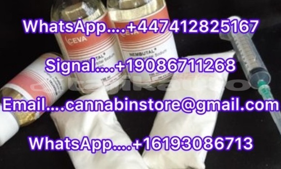 Medium with watermark a15