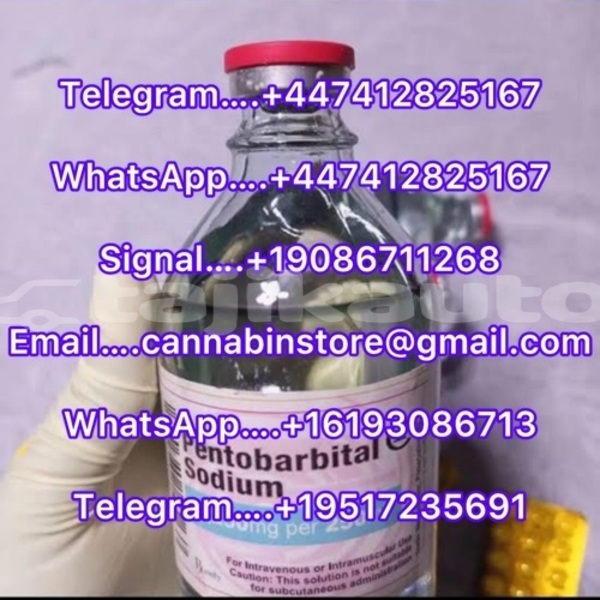 Big with watermark a23