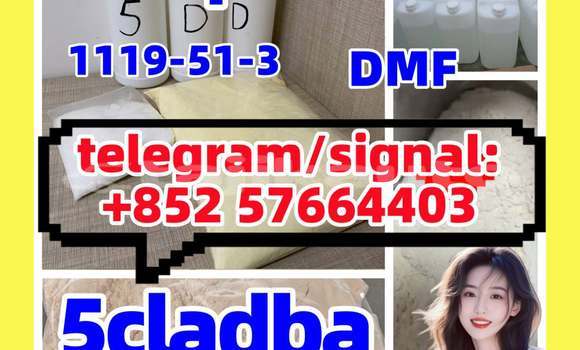 Medium with watermark 510