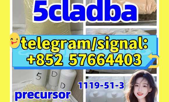 Medium with watermark 54
